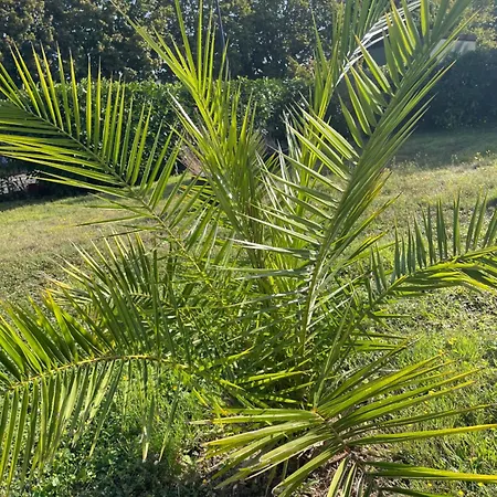 Meuble Neuf アパート *