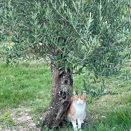 Appartement Meuble Neuf *
