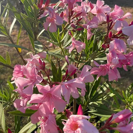 アパート Meuble Neuf *